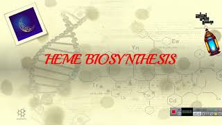 Heme Biosynthesis BioL2 Revision [upl. by Ettennor534]