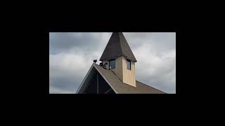 S1E9 St Joan of Arc Catholic Church [upl. by Zaid]