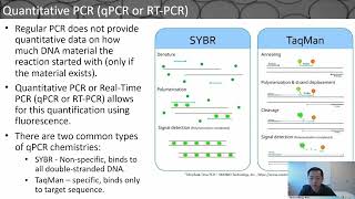 Droplet Microfluidics in PCR Technology and Applications [upl. by Norab363]