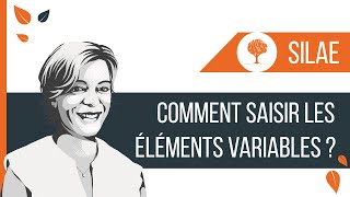 SILAE  Comment saisir les éléments variables de paie [upl. by Llennahc668]