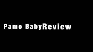 PamoBabe Portable Baby Crib Review [upl. by Errised]