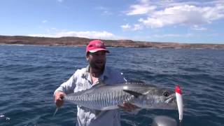 How to catch spanish king mackerel The average angler fishing adventures [upl. by Alyn]