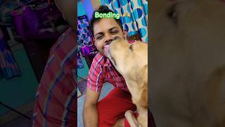 Meri soa bimariyoka 🥰dog doglover love dogs shortvideo purelove doglove dogshorts ytshorts [upl. by Anirtep]