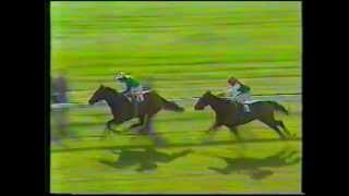 1981 Dewhurst stakes el gran senor beats rainbow quest [upl. by Notsud]