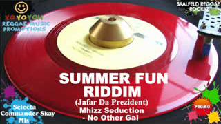 Summer Fun Riddim Mix August 2012 Jafar Da Prezident [upl. by Donny]