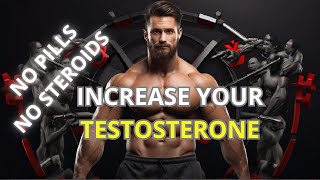 BOOSTING TESTOSTERONE NATURALLY How to INCREASE Your TESTOSTERONE NO PILLS NO STREROIDS [upl. by Ivor]