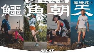 🐊『鱷魚朝天』係邊度？Keen 行山鞋實測｜4K Hiking Vlog＃127 Pat Heung Fire Lookout [upl. by Nraa]