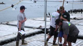 EXCEL SPORTFISHING  FRED HALL 2015 VIDEO [upl. by Selec]