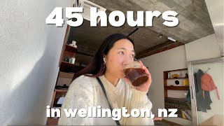 45 hours in wellington new zealand [upl. by Ynohtnacram301]