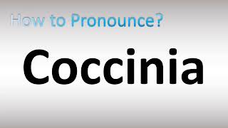 How to Pronounce Coccinia [upl. by Yltneb]