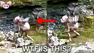 Creepy Stuff Caught on Camera You Wont Believe [upl. by Kiersten]