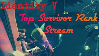 Top Survivor Acrobat Rank Identity V Stream [upl. by Borgeson]