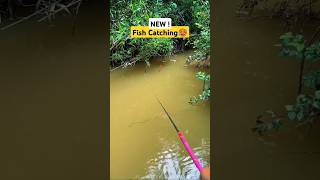 New fish catching short 2024  amazing fishing technique fishing fish catchingfish bait carp [upl. by Palmer]