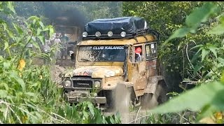 Expedição 4x4 no Pantanal  Poconé e Trilha do Náufrago [upl. by Eartnoed]