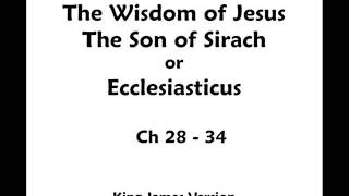 The Wisdom of Sirach or Ecclesiasticus  KJV  Audio  Chapter 28  34 [upl. by Queridas207]