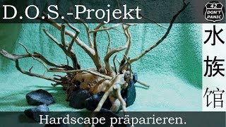 Hardscape präparieren  DOSProjekt [upl. by Magas]