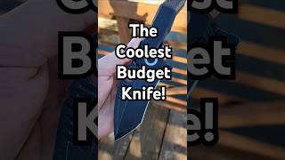 Coolest Budget Knife In My Collection budgetknife edgedmindset kizerknives edgedmindset [upl. by Arch952]