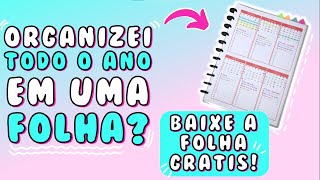 😱 PLANNER 2021 PARA IMPRIMIR 😱 Organização do meu 2021 INTEIRO Plan with me 😲 [upl. by Draneb]