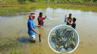 পুকুর থেকে টাটকা দেশি মাগুর ধরে রান্না করে খাওয়া  Fishing and cooking  village cooking vlog [upl. by Mozes711]