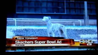 BOYCOTT SKECHERS  GREYHOUND COMMERCIAL [upl. by Dimmick]