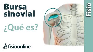 Bursa y Bursitis  Qué es la inflamación de la bursa causas y tratamiento [upl. by Ahsetra759]