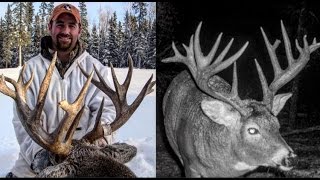 Saskatchewan Whitetail Hunt [upl. by Ayerf144]