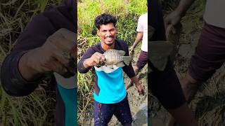 బురదలో కలిసి పోయింది 🥲 fishing fishingvideo catchingfish funnyfishing villagelife explore [upl. by Aivekahs]