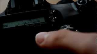 Canon Eos 350D Walk Around [upl. by Volkan]