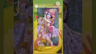 प्रेमानंद जी महाराज के वचन 🙏🙏bhajan radha radheradhe radhe radhakrishna bhakti krishnashorts [upl. by Ttenna727]