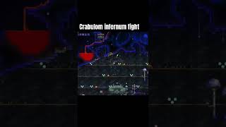 Terraria calamity infernum crabulon fight [upl. by Nairbo189]