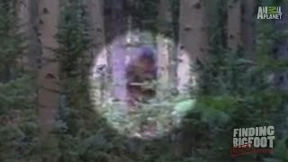 A Nonchalant Sighting in Utah  Finding Bigfoot Rejected Evidence [upl. by Erreipnaej648]