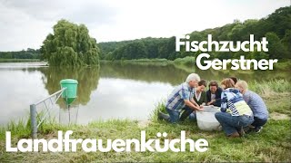 BRLandfrauenküche  Fischzucht Gerstner in Unterfranken 2016 [upl. by Irved]