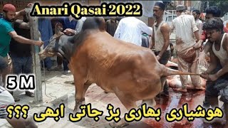 Anari Qasai 2022  Eid UL Azha [upl. by Minda]