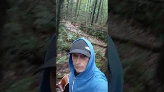 Wheres my tent camping bushcamp camp hiking nature outdoorcamping guitar forestcamp [upl. by Paule973]