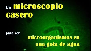 Microscopio laser casero  Laser Projection Microscope [upl. by Gnuh]