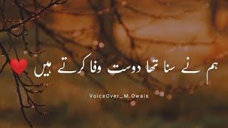 Hum Nay Suna Tha Dost Wafa Karte Hain  Sad Shero Shayari Painfull Status [upl. by Faustina493]