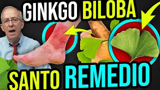 🌿 GINKGO BILOBA Beneficios Y Como Tomarlo  Oswaldo Restrepo RSC [upl. by Dusza]