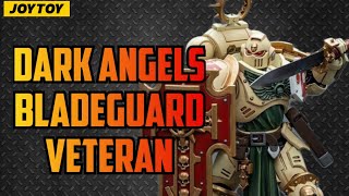 Dark Angels Bladeguard Veteran Secrets Revealed [upl. by Eillit]