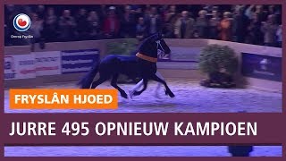 REPO Jurre 495 wederom kampioen bij paardenkeuring [upl. by Acemahs]