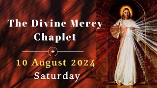 Divine Mercy Chaplet  10 August 2024  Saturday [upl. by Avlis]