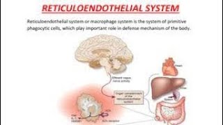 Mnemonics to remember Cells of the reticuloendothelial system and their location [upl. by Barbour270]