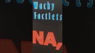 Wacky Factlets [upl. by Liahus]