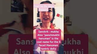 booktube kinnauri polysemy linguistics tibetanlanguage 嘴脸 ft Dr Anju saxena [upl. by Ahcilef882]