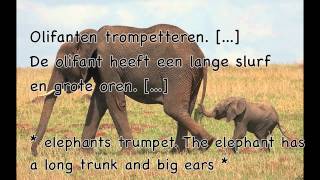 Learn Dutch animals  dutch lessons  dieren nederlands leren  learning dutch  Nederlands [upl. by Orson]