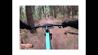 Sandy Point Invercargill Bike Trails Tour [upl. by Tatiania]