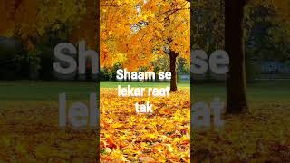 Subah se lekar sham tak song whatsApp status [upl. by Yoshi]