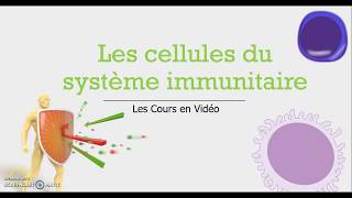 Les cellules du système immunitaire 2  Les granulocytes [upl. by Oetomit]