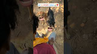 funny chhathpuja trending [upl. by Liakim]