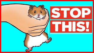 18 Things Hamsters Hate [upl. by Bernstein]