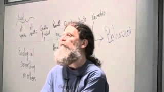 Dr Robert Sapolsky on Human Polygamy [upl. by Ahsiyn389]